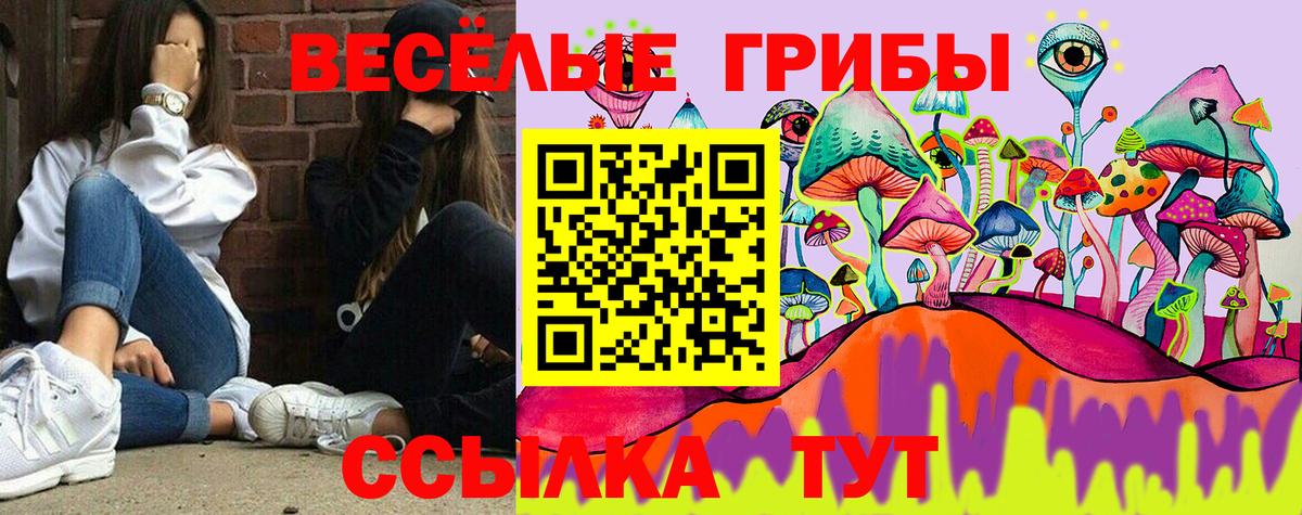 Псилоцибиновые грибы Cubensis  Вход с VPN  Батайск 