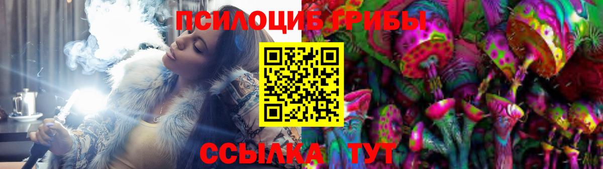 Псилоцибиновые грибы Psilocybine cubensis Батайск